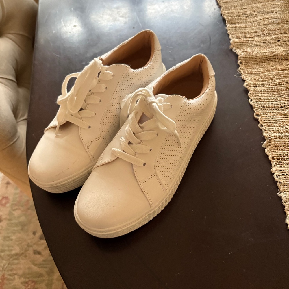 Steve Madden Toliver Sneaker